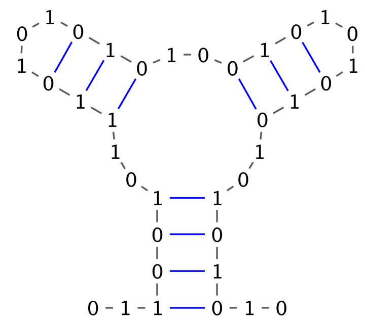 Binary RNA structure